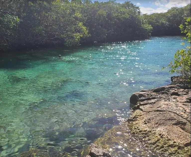Escapada Paradisiaca En Akumal, Grand Sirenis Xetna 0*,